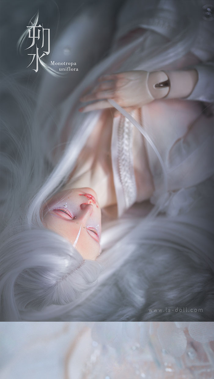 BJD SD 人偶 娃娃 BJD古风 BJD三分